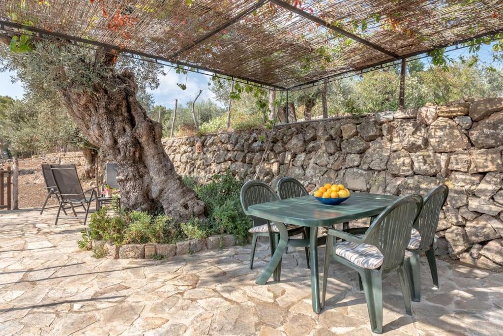 Deià semi-detached sunny country house, near GR221 Extérieur photo