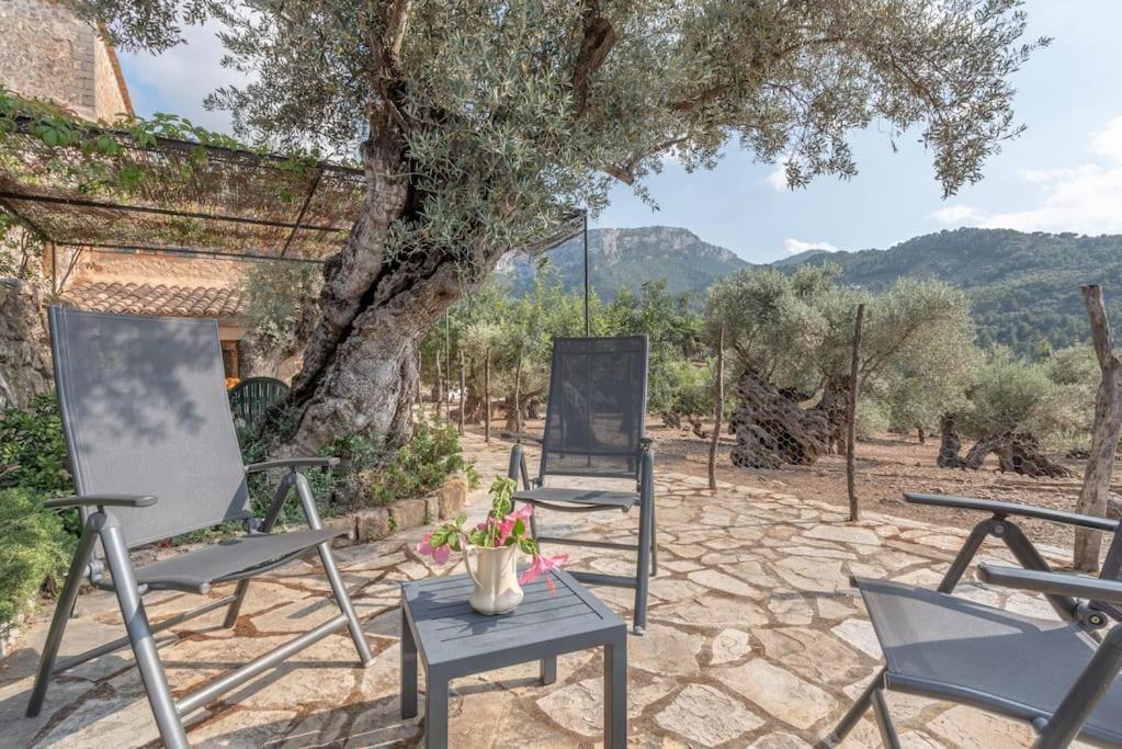 Deià semi-detached sunny country house, near GR221 Extérieur photo