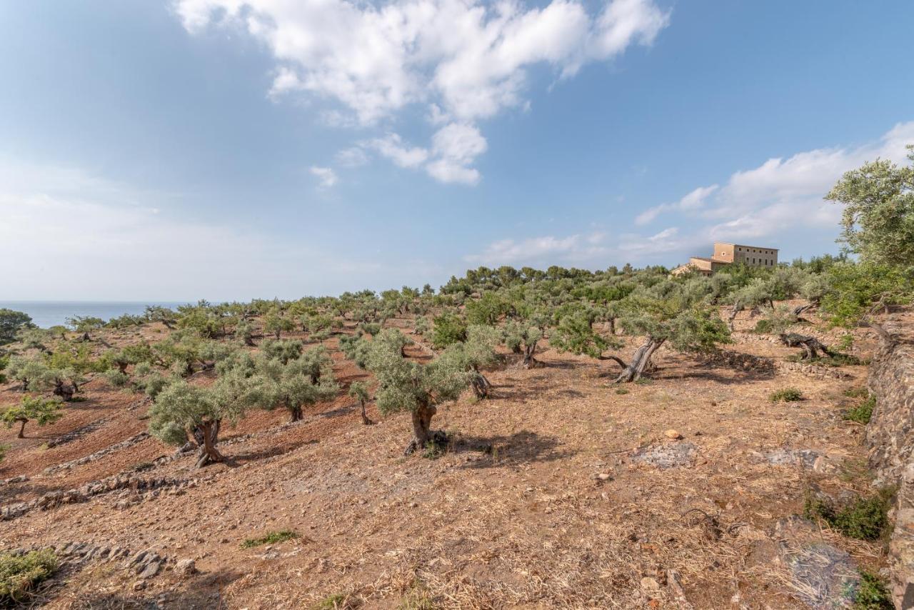 Deià semi-detached sunny country house, near GR221 Extérieur photo