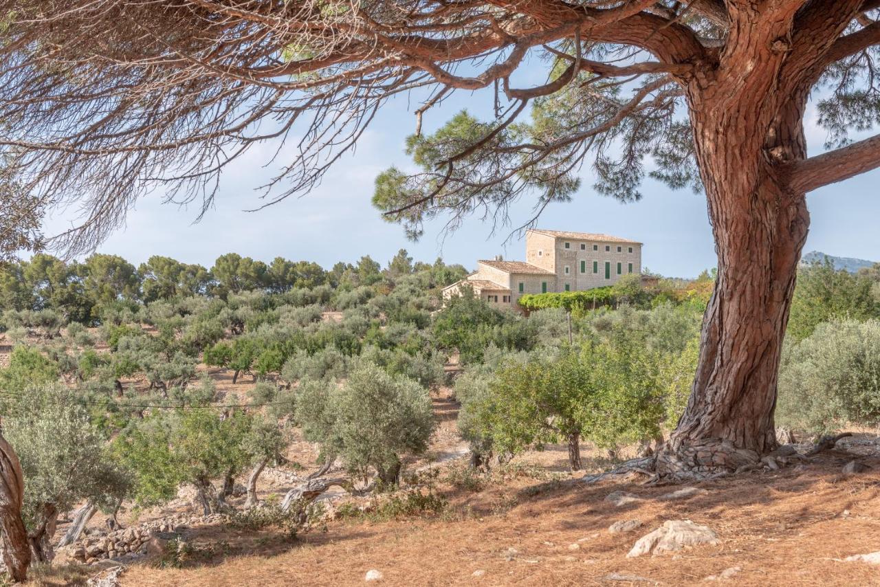 Deià semi-detached sunny country house, near GR221 Extérieur photo